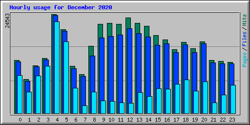 Hourly usage for December 2020